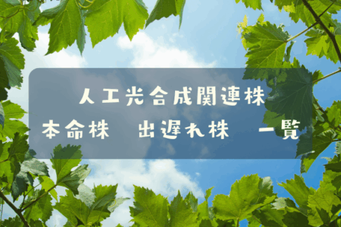 人工光合成関連株