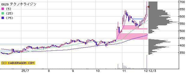 6629 テクノホライゾン