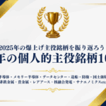 2025年の個人的主役銘柄10選