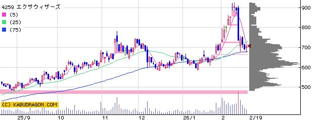 4259エクサウィザーズ