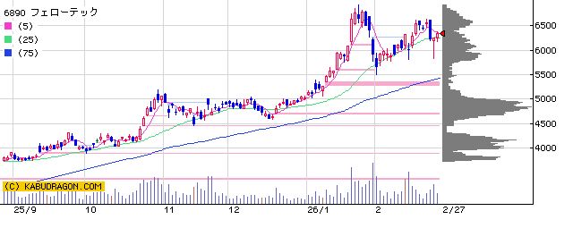 6890フェローテック
