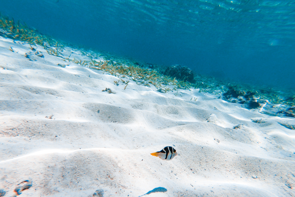 海底のイメージ