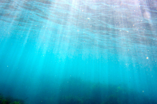 海水淡水化